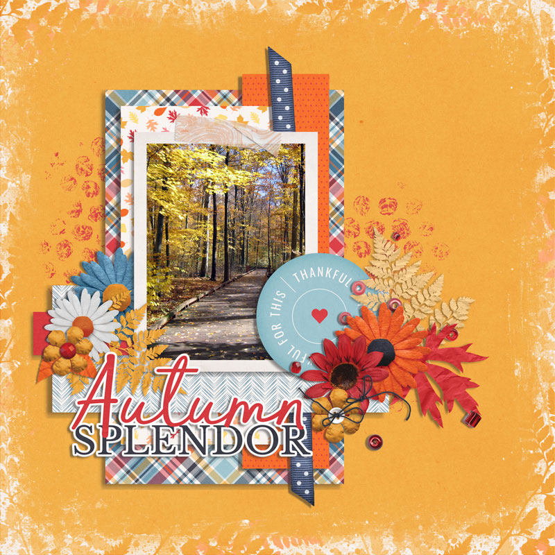 autumn splendor