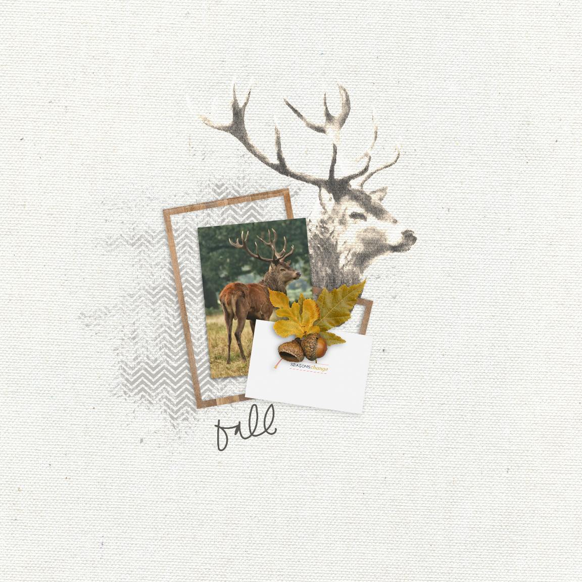 Autumn Stag