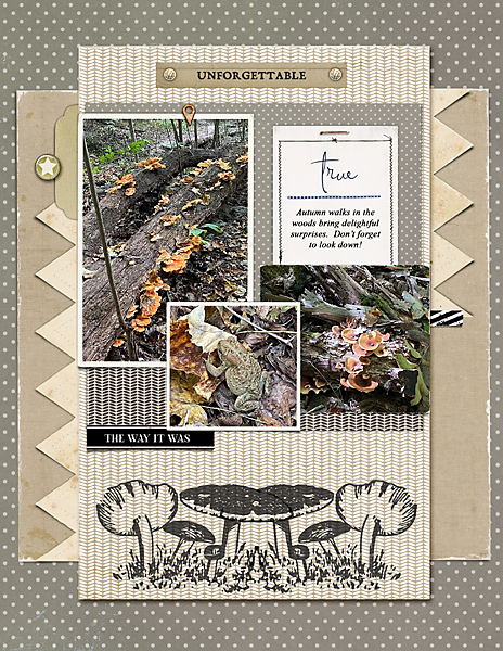 Autumn-Surprises_flowersgal_web