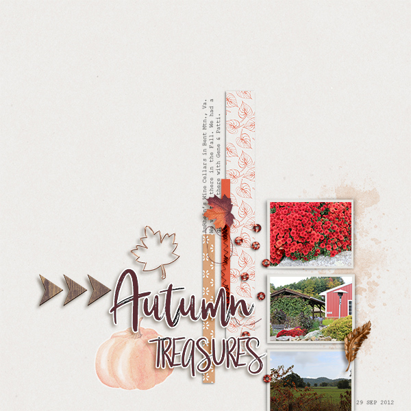 Autumn Treasures
