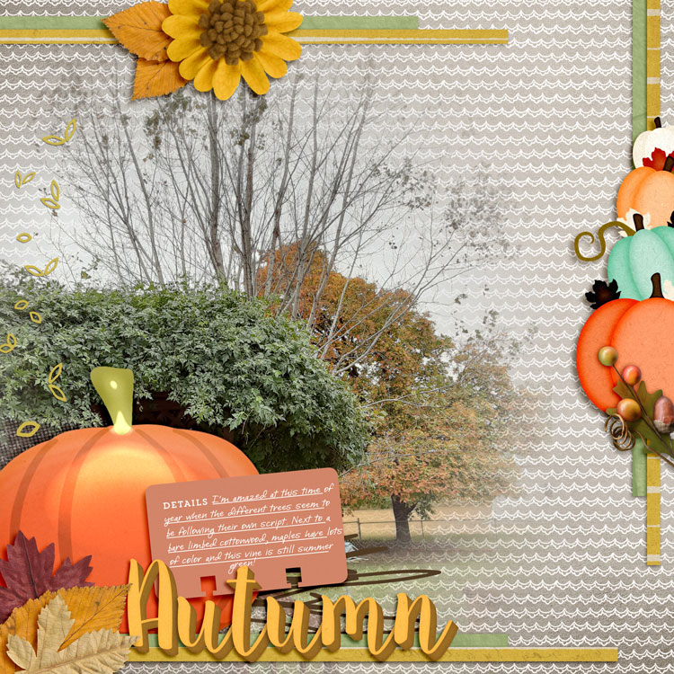 Autumn-trees