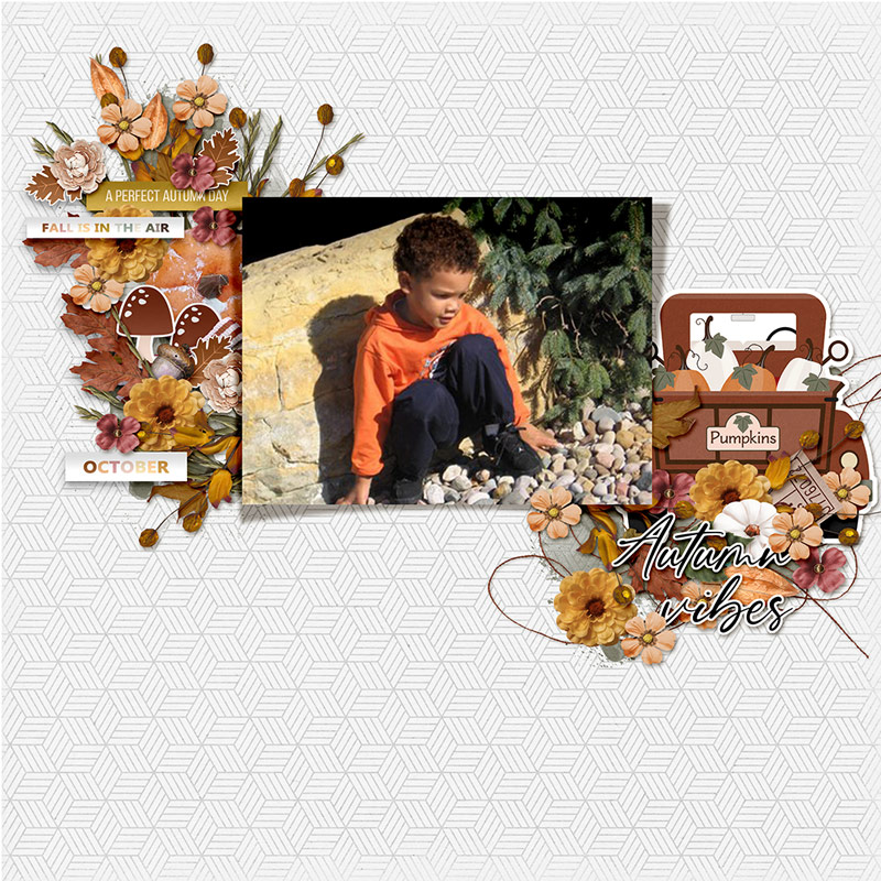 Autumn Vibes
