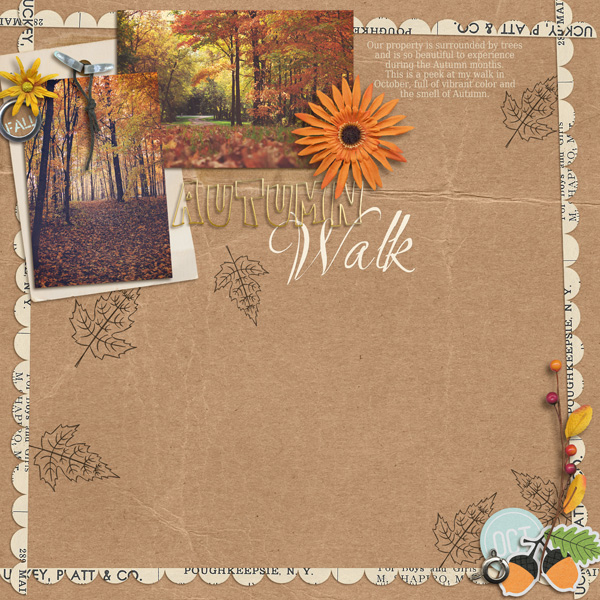 Autumn Walk