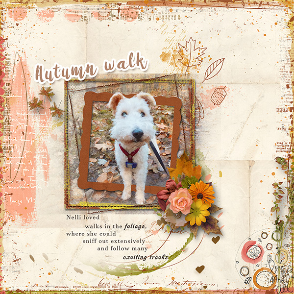 Autumn-Walk