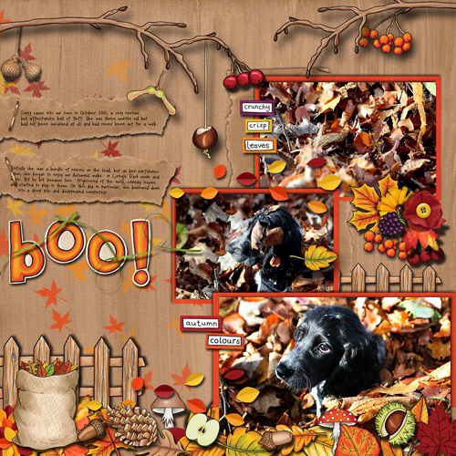 autumn-web1