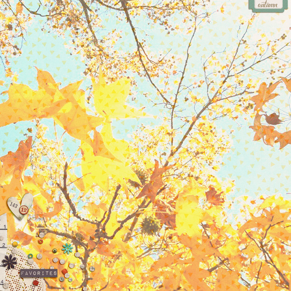 Autumn