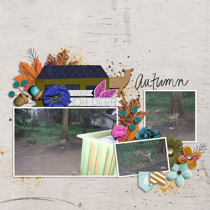 Autumn