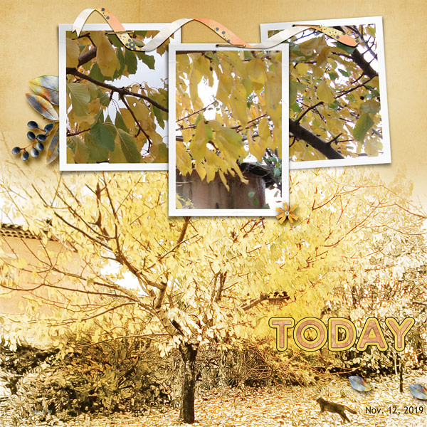 Autumn