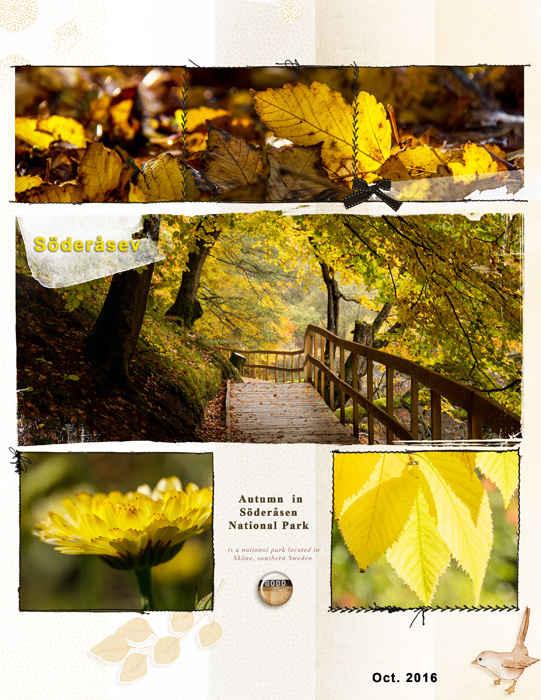 Autumn