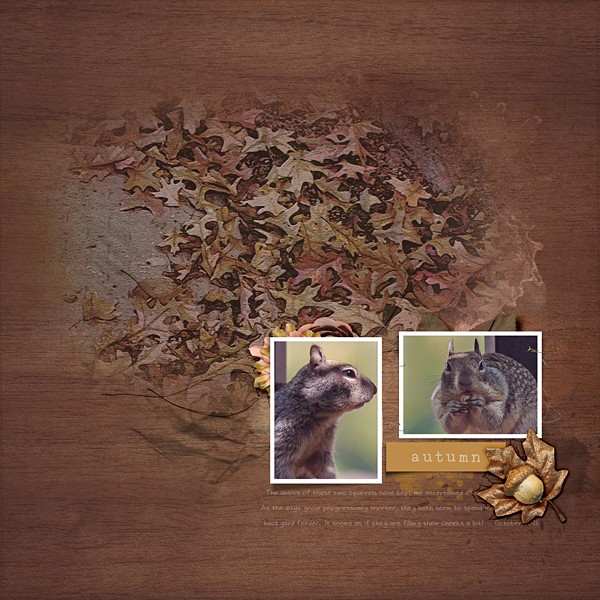 Autumn