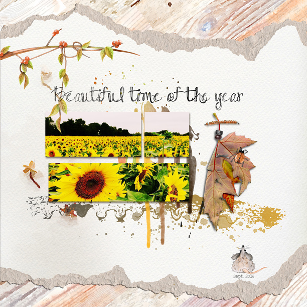Autumn2_web