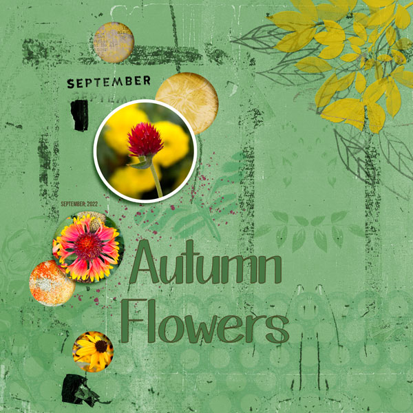 Autumn_Flowers