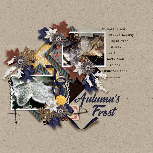 Autumn's  Frost