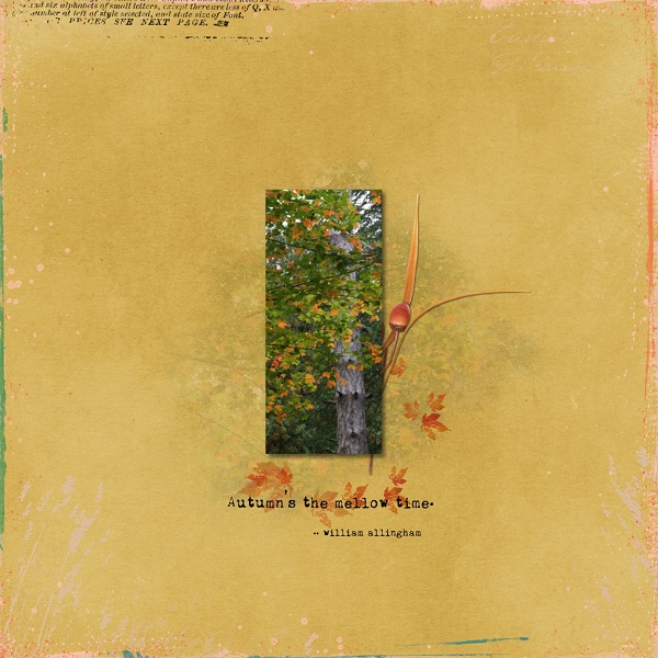 Autumn's The Mellow Time