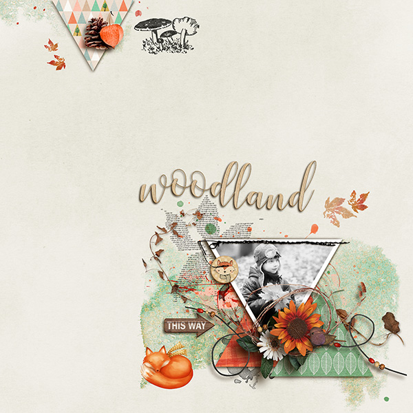 AutumnTrails
