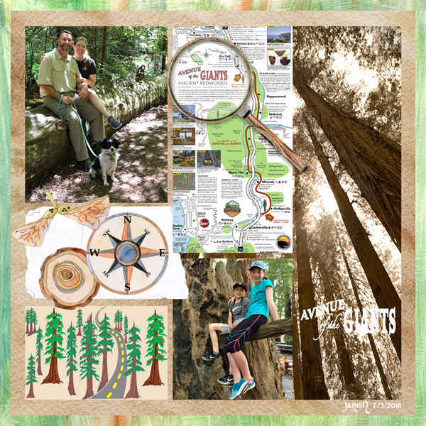 Avenue of the Giants - July Challenge
