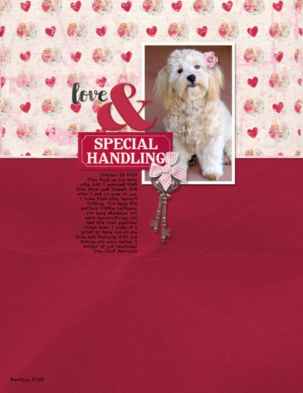 AWA_February_Challenge_Love