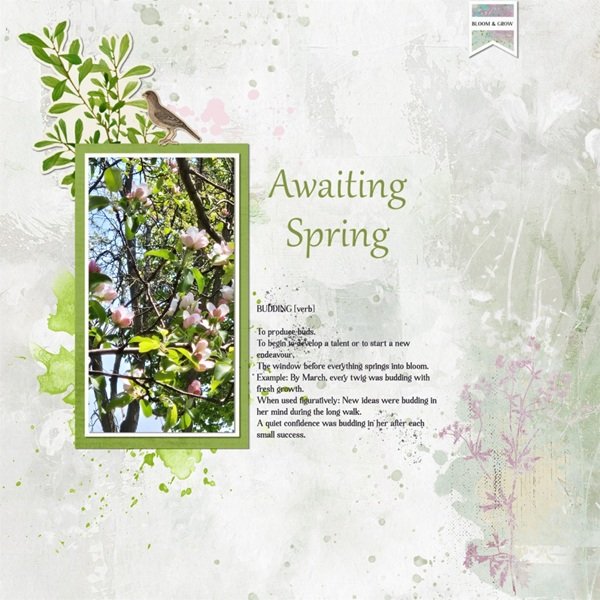 Awaiting Spring.jpg