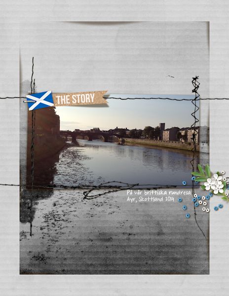 Ayr