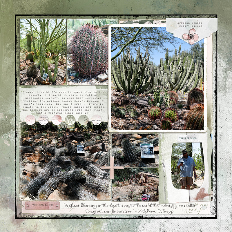 AZ Sonora Desert
