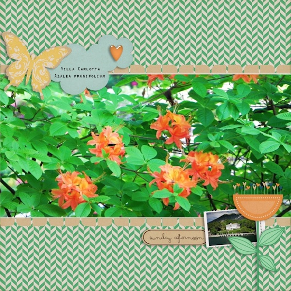 Azalea