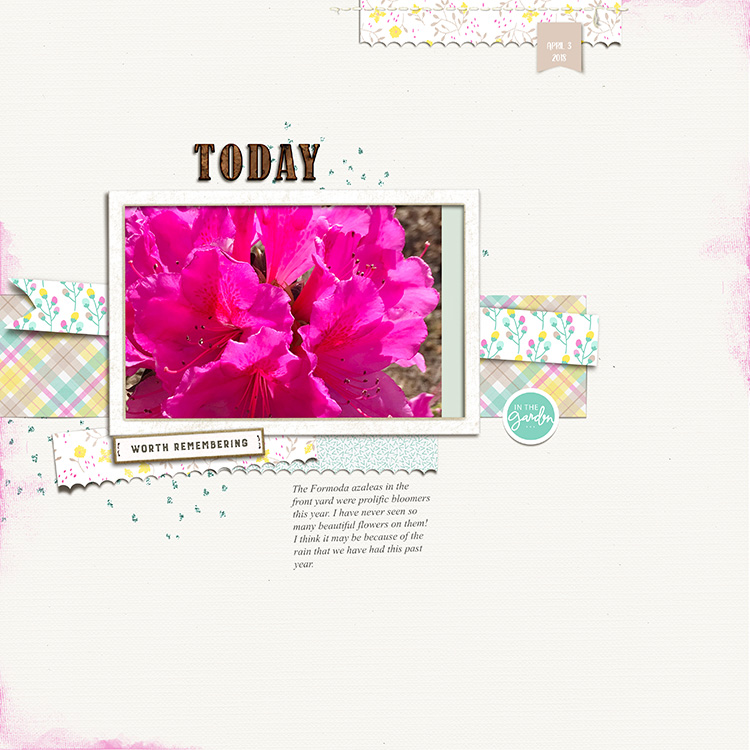 Azaleas