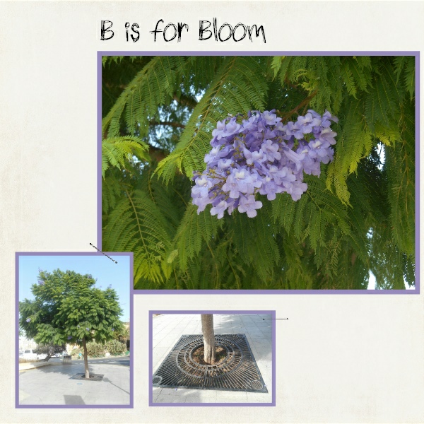 B Is For Bloom
