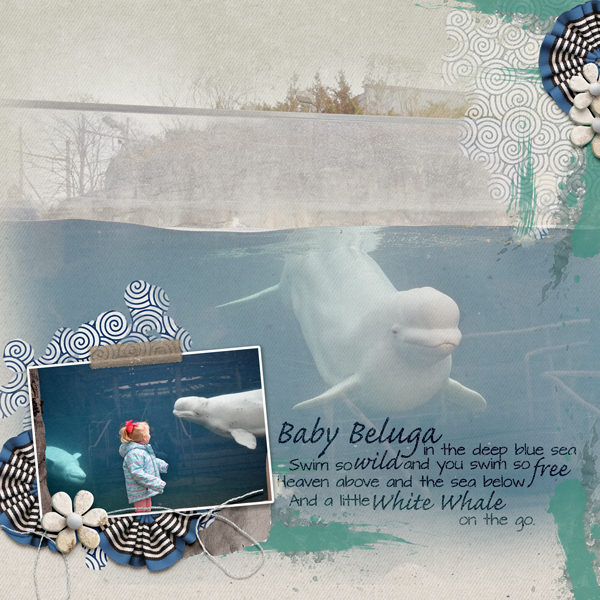 Baby Beluga