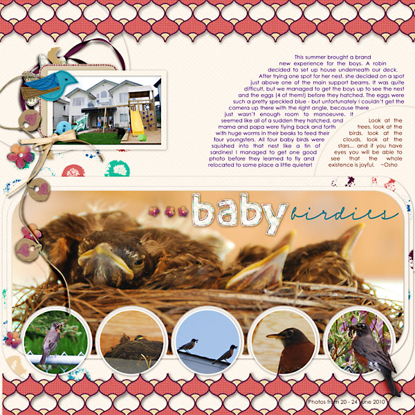 Baby Birdies