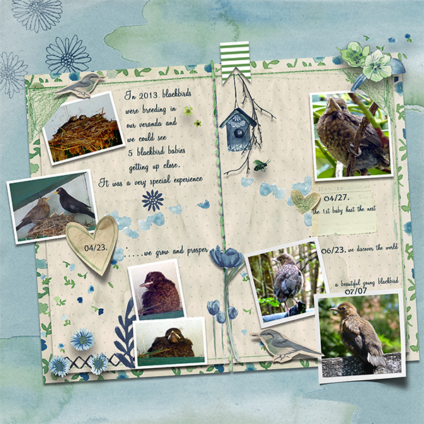Baby-Blackbirds