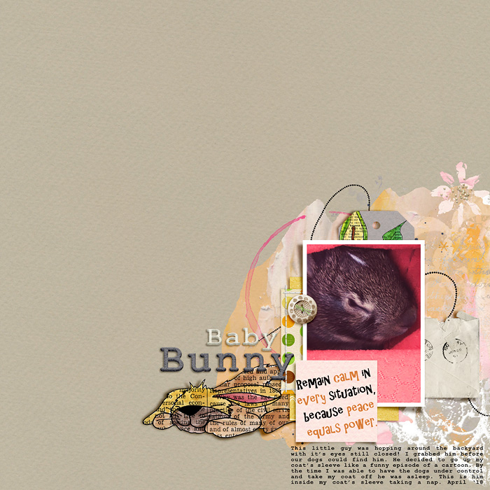 Baby Bunny