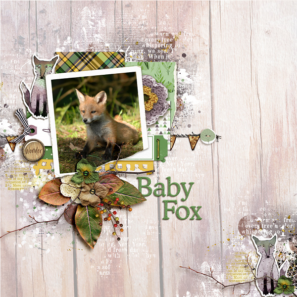 Baby Fox