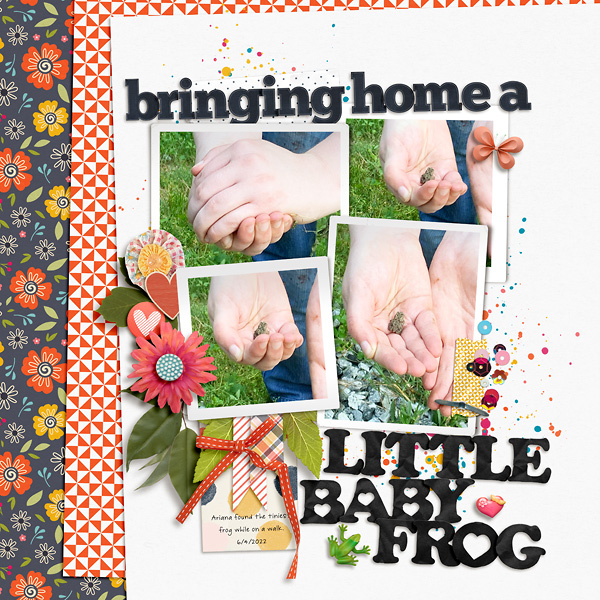 Baby Frog