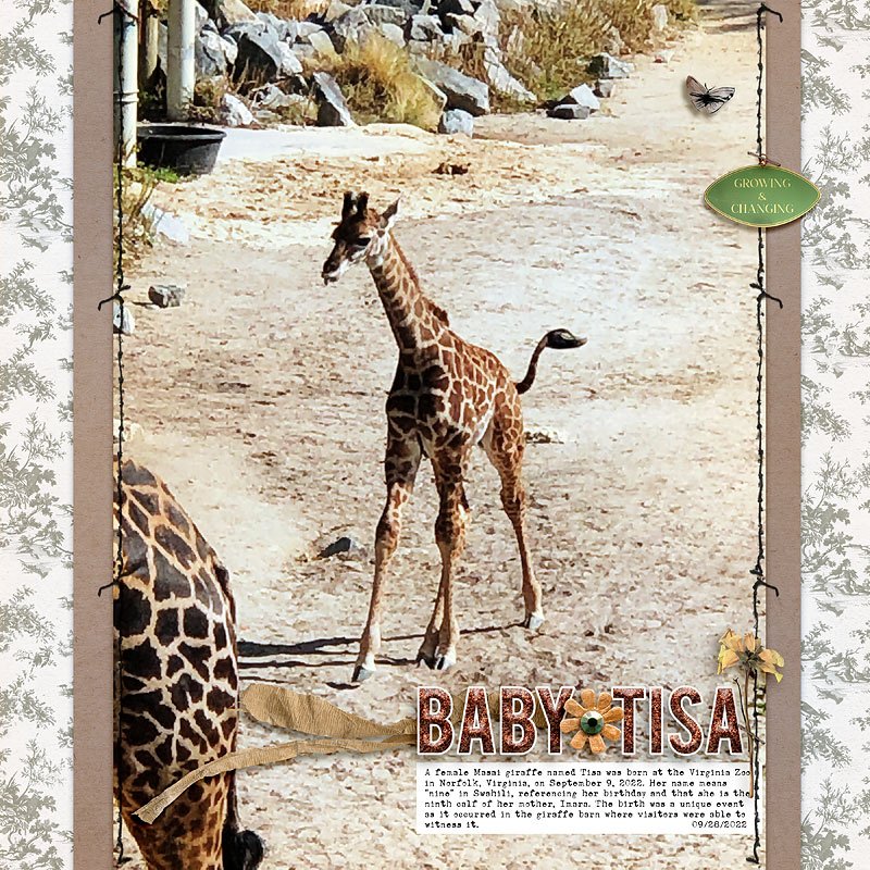 Baby Tisa