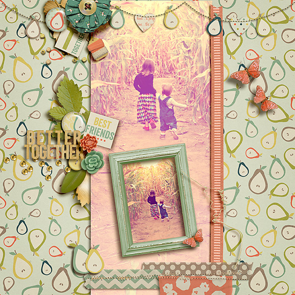 Back Cover 2014