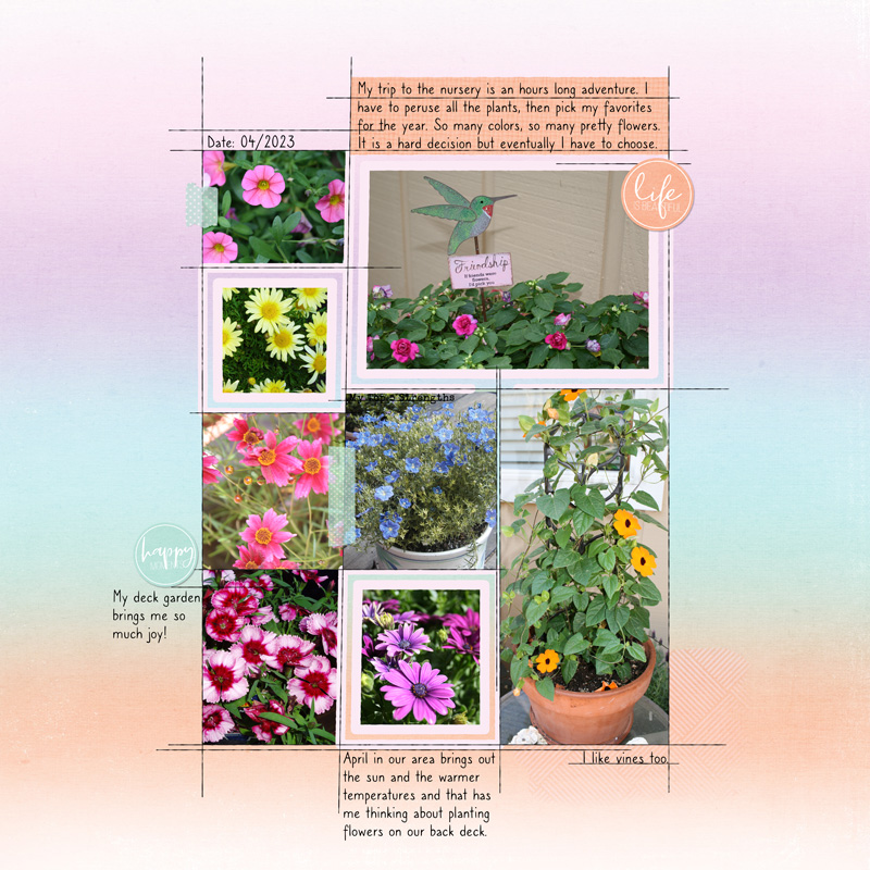 Back-Deck-Garden