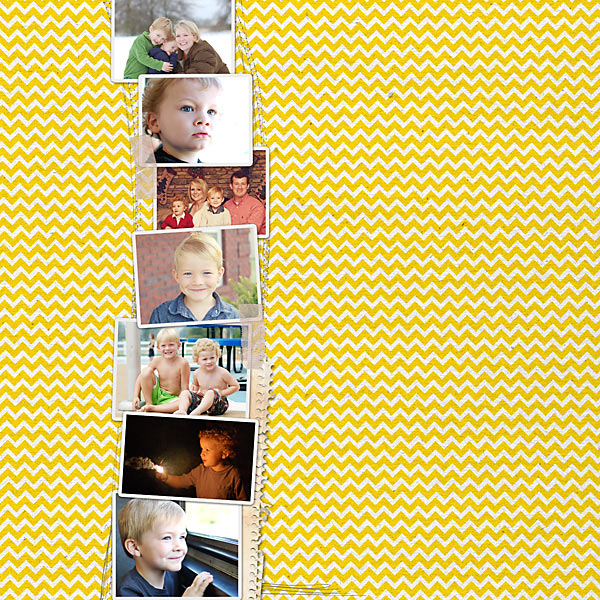 BackCover of 2011 Book