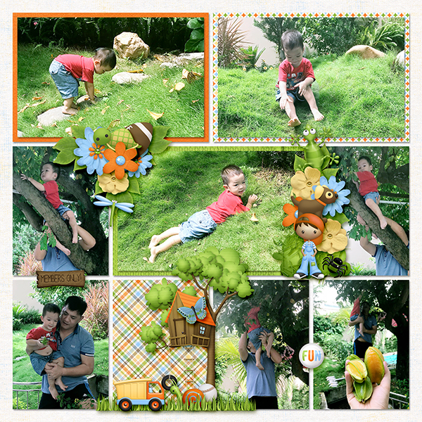 Backyard Adventures