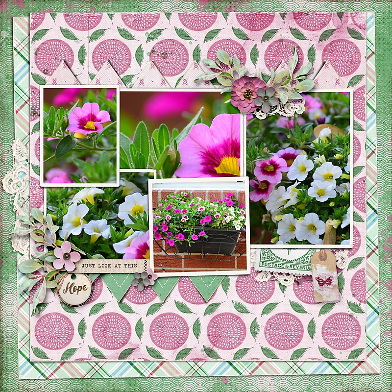 Backyard Blooms