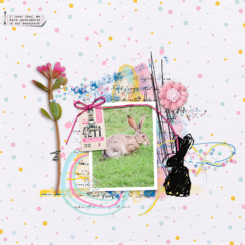 Backyard Bunny
