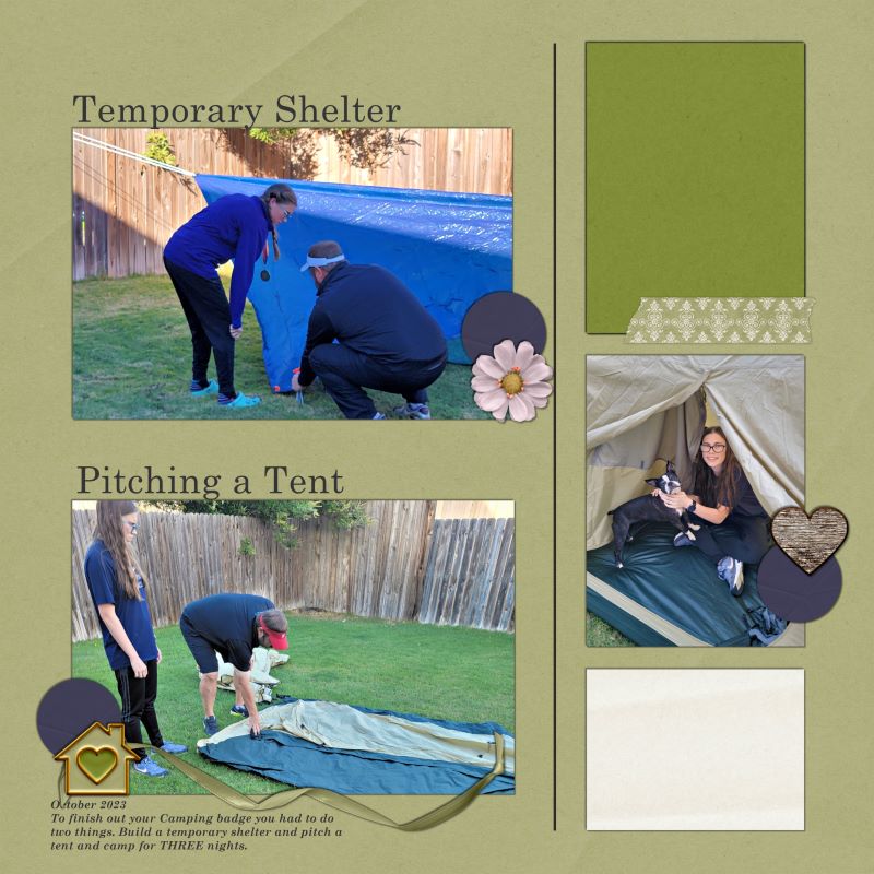 Backyard Camping
