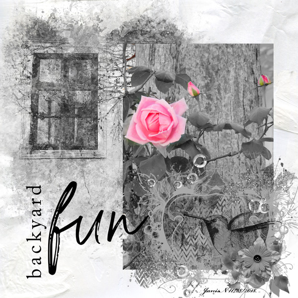 Backyard Fun - NBK  Nov 26 Challenge