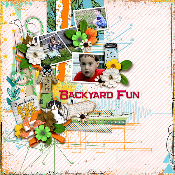 Backyard Fun