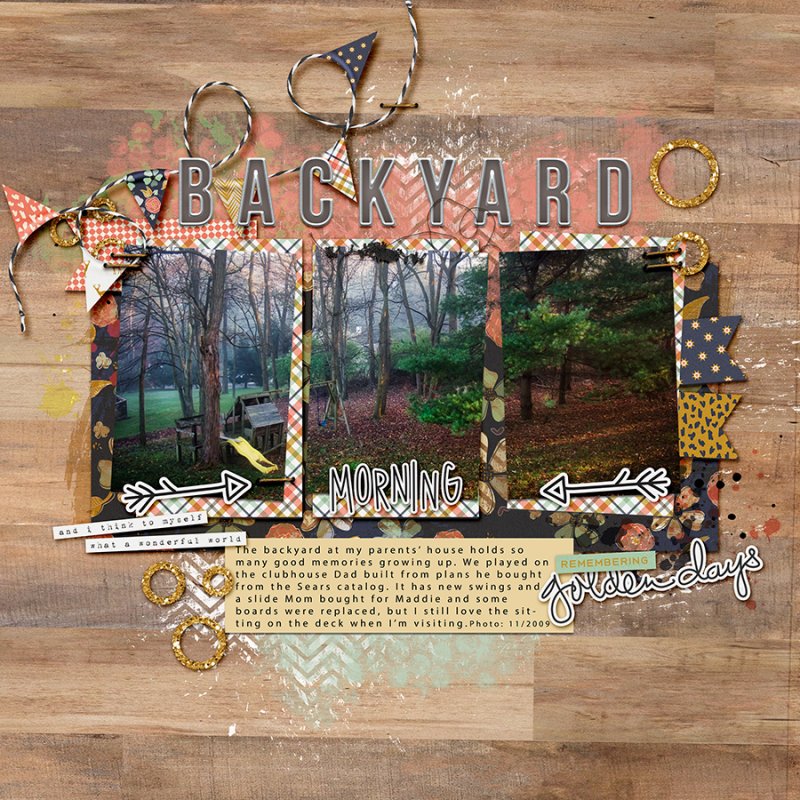 Backyard2009alabau_apr2018