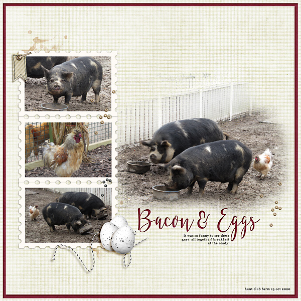 Bacon & Eggs