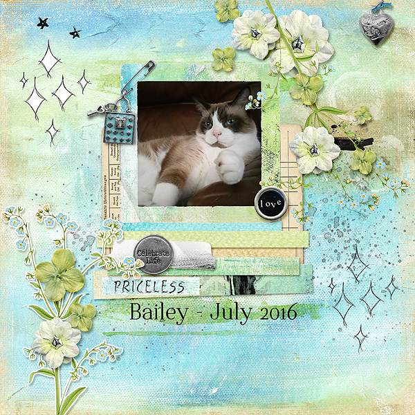 Bailey July 2016