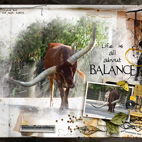 Balance