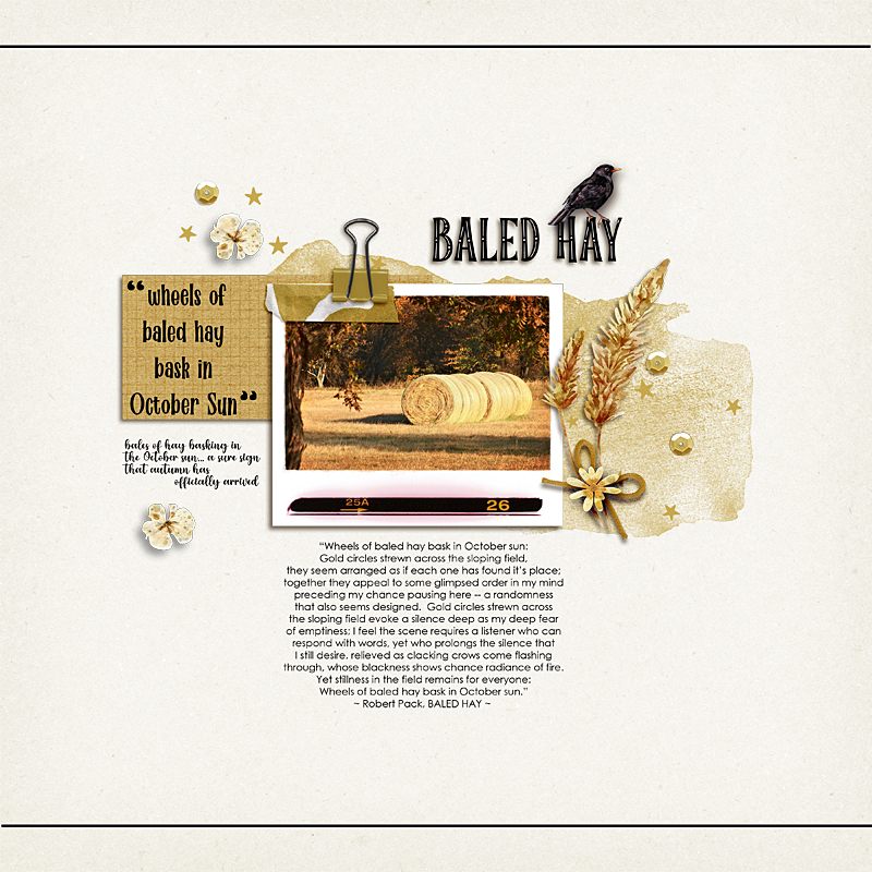 Baled Hay