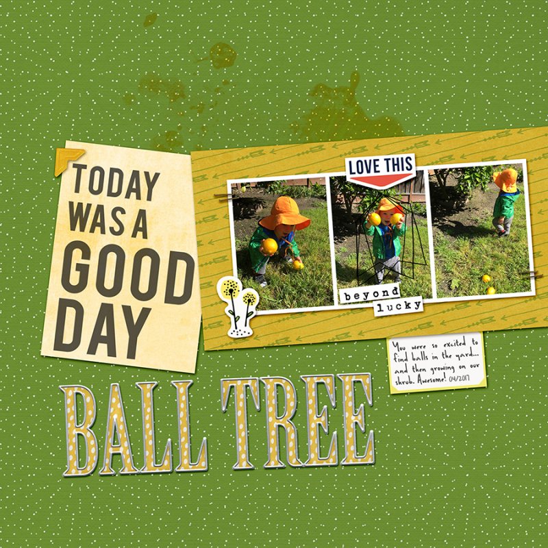 BallTreeMay2017IC