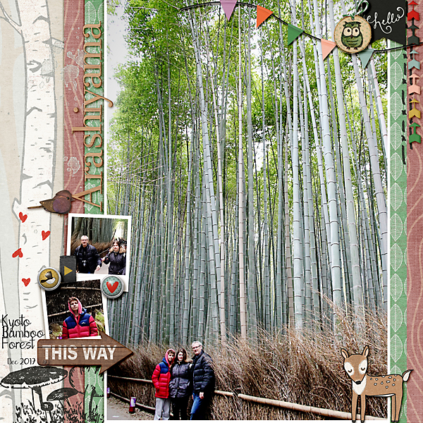 Bamboo-forest